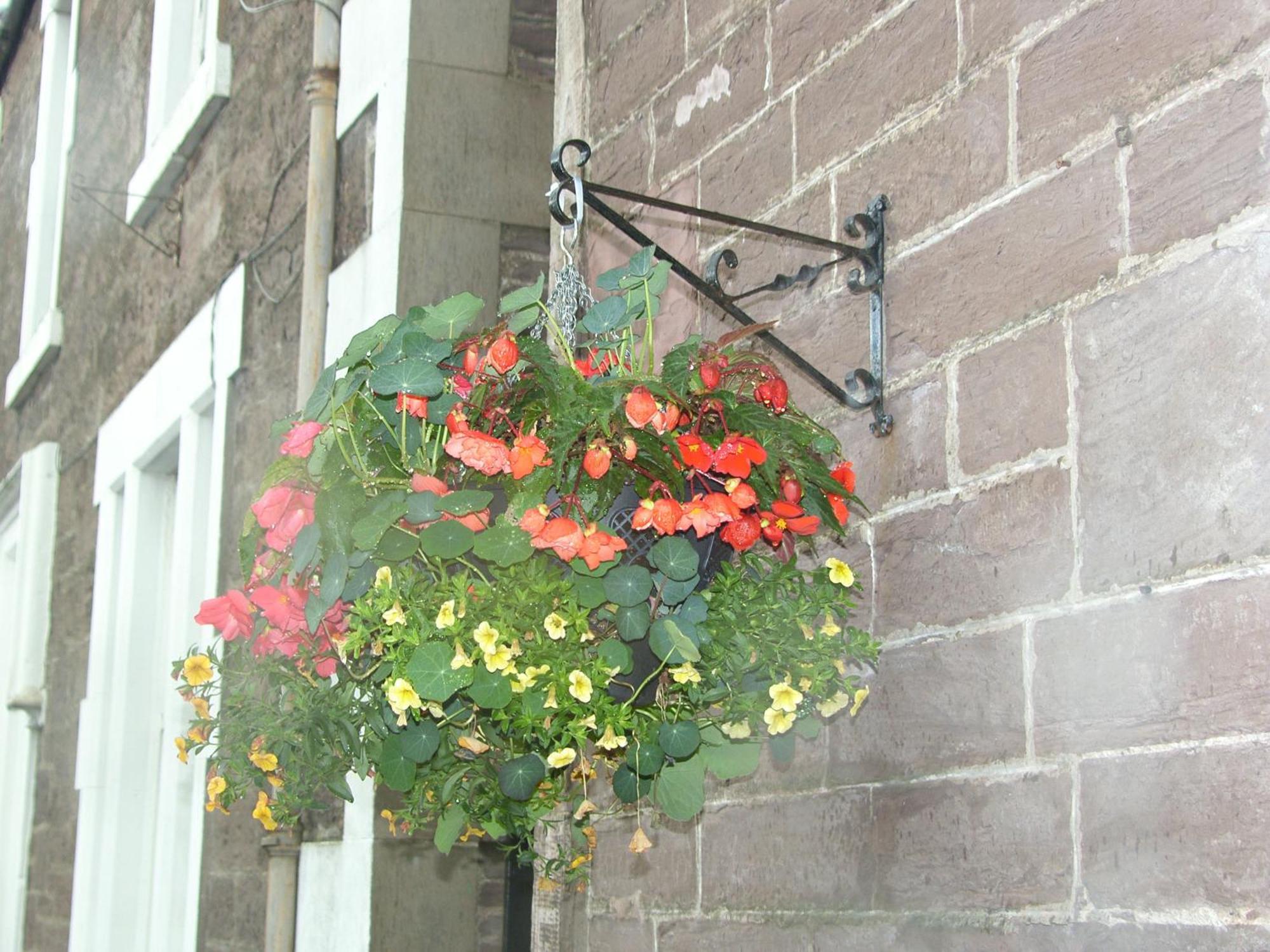 Comelybank Guesthouse Crieff Eksteriør bilde